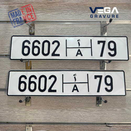 Model 2 International : 2 Plaques + 2 Supports Plaques 220 dh