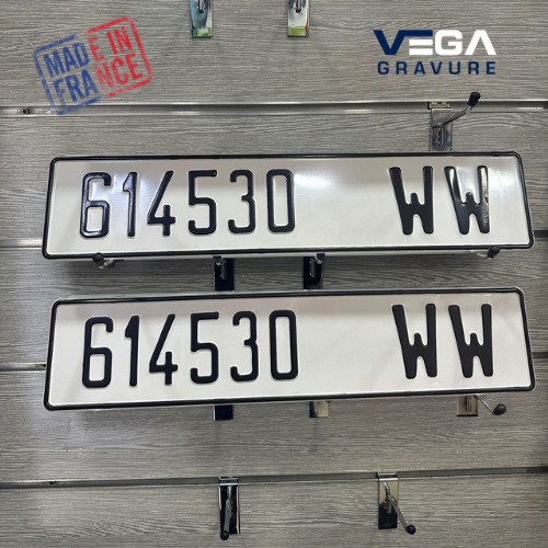 Model 6 WW : 2 Plaques + 2 Supports Plaques 220 dh